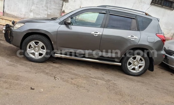 Buy Used Toyota RAV4 Silver Car in Yaounde in Central Cameroon Buy Used Toyota RAV4 Silver Car in Yaounde in Central Cameroon