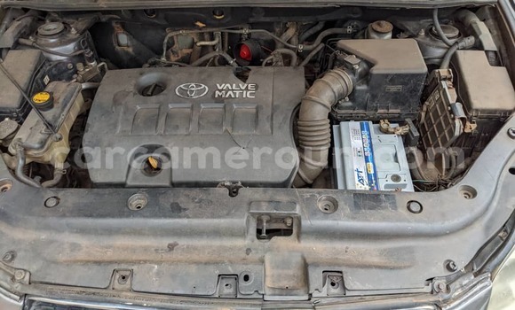 Buy Used Toyota RAV4 Silver Car in Yaounde in Central Cameroon Buy Used Toyota RAV4 Silver Car in Yaounde in Central Cameroon