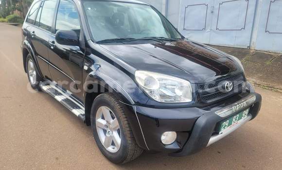Buy Used Toyota RAV4 Black Car in Yaounde in Central Cameroon Buy Used Toyota RAV4 Black Car in Yaounde in Central Cameroon