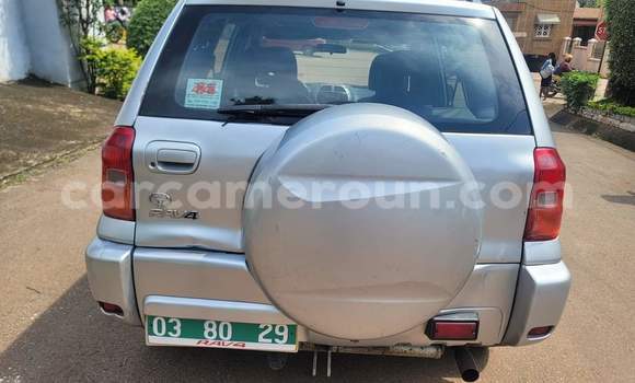 Buy Used Toyota RAV4 Black Car in Yaounde in Central Cameroon Buy Used Toyota RAV4 Black Car in Yaounde in Central Cameroon