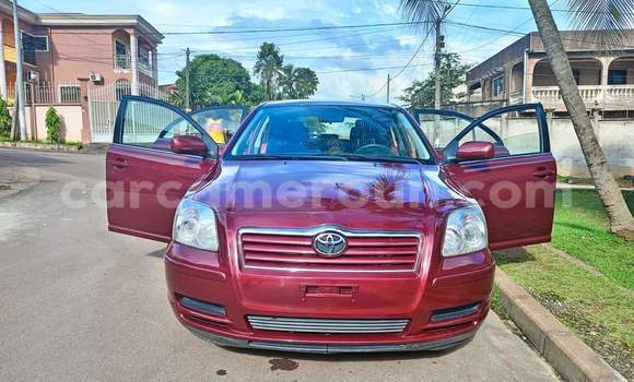 Buy Used Toyota Avensis Red Car in Yaounde in Central Cameroon