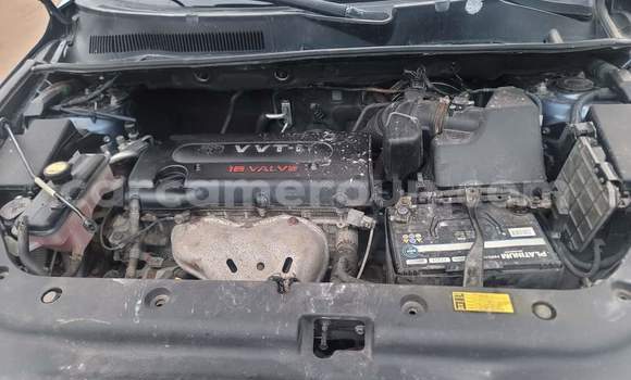 Sayi Na hannu Toyota RAV4 Blue Mota in Yaounde a Babban Kamaru Sayi Na hannu Toyota RAV4 Blue Mota in Yaounde a Babban Kamaru