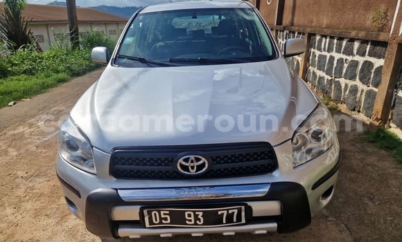Buy Used Toyota RAV4 Silver Car in Yaounde in Central Cameroon