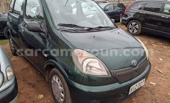 Buy Used Toyota Yaris Verso Green Car in Yaounde in Central Cameroon Buy Used Toyota Yaris Verso Green Car in Yaounde in Central Cameroon