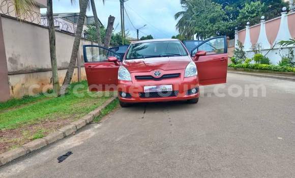 Buy Used Toyota Corolla Red Car in Yaounde in Central Cameroon Buy Used Toyota Corolla Red Car in Yaounde in Central Cameroon