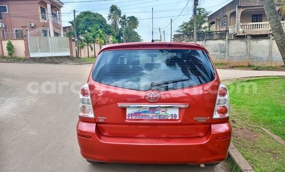 Acheter Occasion Voiture Toyota Corolla Verso Rouge à Yaoundé, Central Cameroon Acheter Occasion Voiture Toyota Corolla Verso Rouge à Yaoundé, Central Cameroon