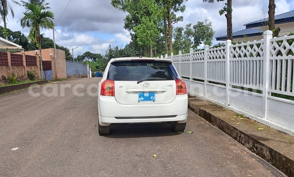 Acheter Neuf Voiture Toyota Runx Blanc à Yaoundé, Central Cameroon Acheter Neuf Voiture Toyota Runx Blanc à Yaoundé, Central Cameroon