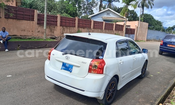 Acheter Neuf Voiture Toyota Runx Blanc à Yaoundé, Central Cameroon Acheter Neuf Voiture Toyota Runx Blanc à Yaoundé, Central Cameroon