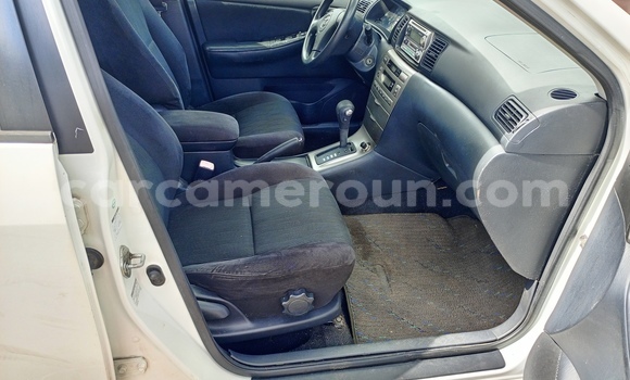 Acheter Neuf Voiture Toyota Runx Blanc à Yaoundé, Central Cameroon Acheter Neuf Voiture Toyota Runx Blanc à Yaoundé, Central Cameroon