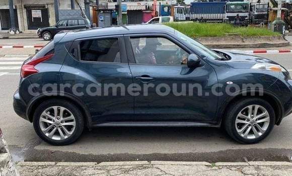 Acheter Occasion Voiture Nissan Juke Bleu à Douala, Littoral Cameroon