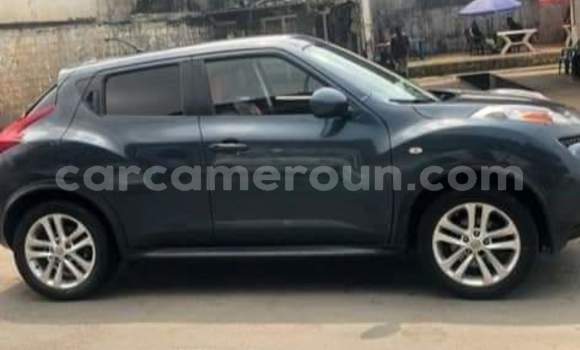 Acheter Occasion Voiture Nissan Juke Bleu à Douala, Littoral Cameroon Acheter Occasion Voiture Nissan Juke Bleu à Douala, Littoral Cameroon