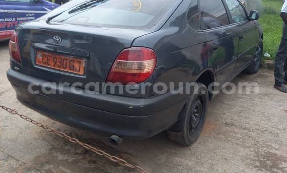 Sayi Na hannu Acura CL Sauran Mota in Yaounde a Babban Kamaru