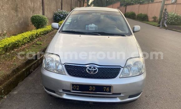 Buy Used Toyota Yaris Other Car in Yaounde in Central Cameroon