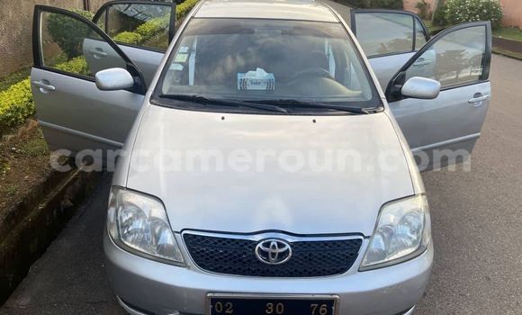 Sayi Na hannu Toyota Yaris Sauran Mota in Yaounde a Babban Kamaru Sayi Na hannu Toyota Yaris Sauran Mota in Yaounde a Babban Kamaru