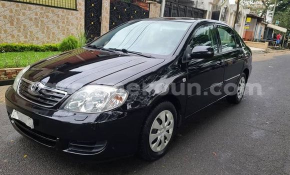 Sayi Na hannu Toyota Corolla Sauran Mota in Yaounde a Babban Kamaru