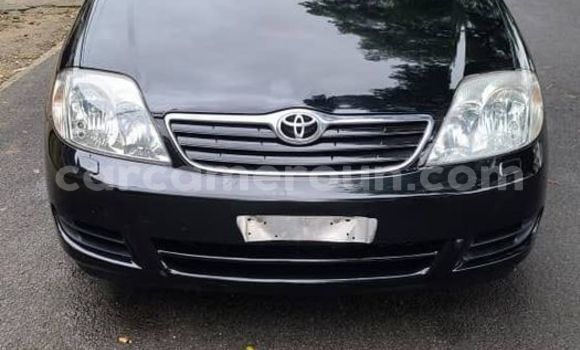 Acheter Occasion Voiture Toyota Corolla Autre à Yaoundé, Central Cameroon Acheter Occasion Voiture Toyota Corolla Autre à Yaoundé, Central Cameroon