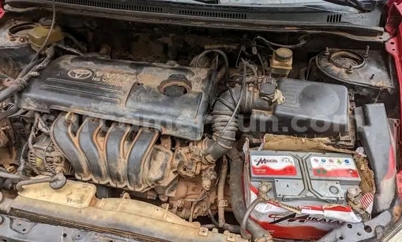 Buy Used Toyota Corolla Red Car in Yaounde in Central Cameroon Buy Used Toyota Corolla Red Car in Yaounde in Central Cameroon