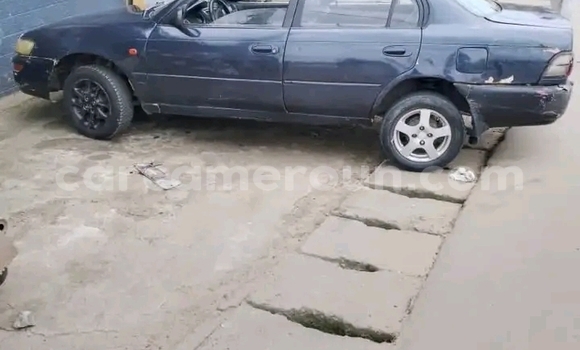 Acheter Occasion Voiture Toyota Corolla Autre à Douala, Littoral Cameroon