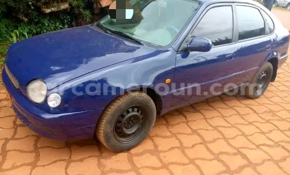 Sayi Na hannu Toyota Corolla Blue Mota in Yaounde a Babban Kamaru Sayi Na hannu Toyota Corolla Blue Mota in Yaounde a Babban Kamaru
