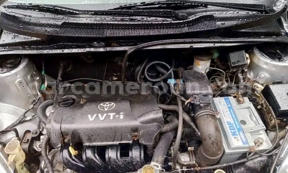Sayi Na hannu Toyota Yaris Sauran Mota in Yaounde a Babban Kamaru Sayi Na hannu Toyota Yaris Sauran Mota in Yaounde a Babban Kamaru