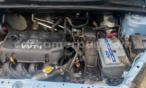 Sayi Na hannu Toyota Yaris Blue Mota in Yaounde a Babban Kamaru Sayi Na hannu Toyota Yaris Blue Mota in Yaounde a Babban Kamaru