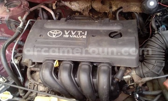 Sayi Na hannu Toyota Corolla Red Mota in Douala a Ƙasar Kamaru Sayi Na hannu Toyota Corolla Red Mota in Douala a Ƙasar Kamaru