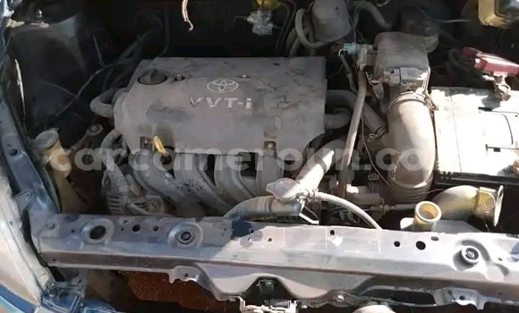 Sayi Na hannu Toyota Yaris Blue Mota in Yaounde a Babban Kamaru Sayi Na hannu Toyota Yaris Blue Mota in Yaounde a Babban Kamaru