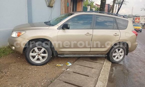 Buy Used Toyota RAV4 Other Car in Douala in Littoral Cameroon