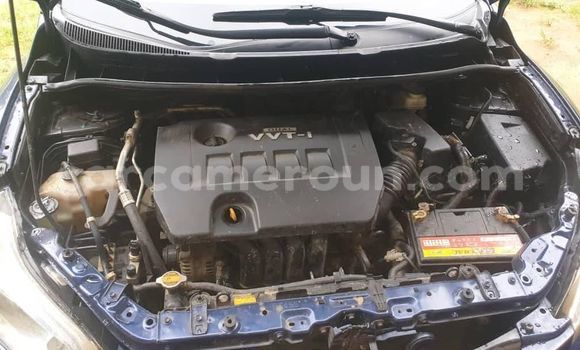 Acheter Occasion Voiture Toyota Matrix Bleu à Douala, Littoral Cameroon Acheter Occasion Voiture Toyota Matrix Bleu à Douala, Littoral Cameroon