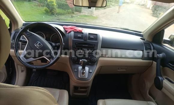 Acheter Occasion Voiture Honda CR–V Autre à Douala, Littoral Cameroon Acheter Occasion Voiture Honda CR–V Autre à Douala, Littoral Cameroon