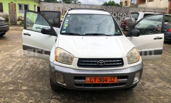 Acheter Occasion Voiture Toyota RAV4 Blanc à Douala, Littoral Cameroon