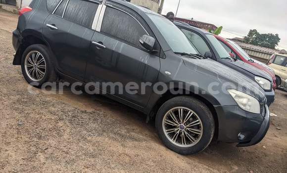 Acheter Occasion Voiture Toyota RAV4 Noir à Yaoundé, Central Cameroon