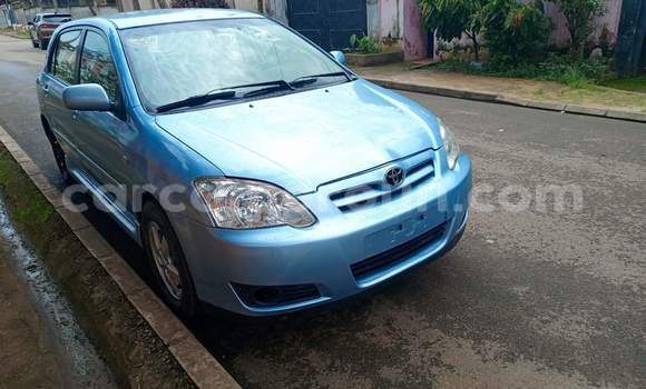Buy Used Toyota Corolla Blue Car in Yaounde in Central Cameroon Buy Used Toyota Corolla Blue Car in Yaounde in Central Cameroon