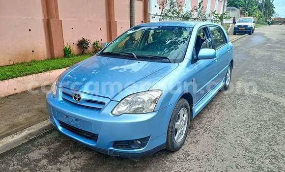 Buy Used Toyota Corolla Blue Car in Yaounde in Central Cameroon Buy Used Toyota Corolla Blue Car in Yaounde in Central Cameroon