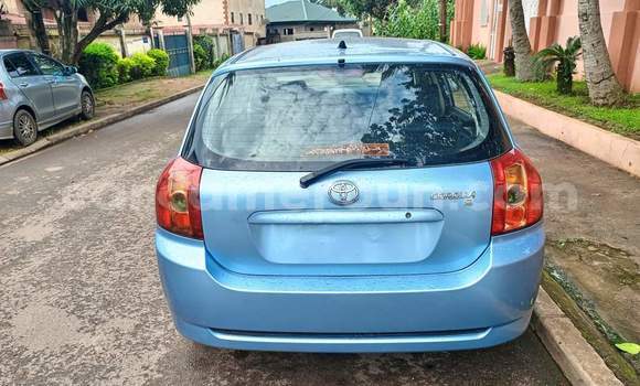 Buy Used Toyota Corolla Blue Car in Yaounde in Central Cameroon Buy Used Toyota Corolla Blue Car in Yaounde in Central Cameroon