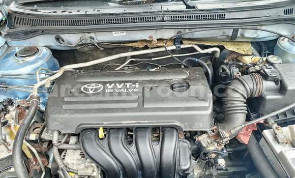 Buy Used Toyota Corolla Blue Car in Yaounde in Central Cameroon Buy Used Toyota Corolla Blue Car in Yaounde in Central Cameroon