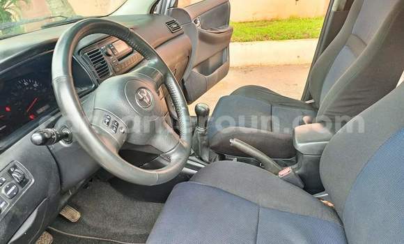 Buy Used Toyota Corolla Blue Car in Yaounde in Central Cameroon Buy Used Toyota Corolla Blue Car in Yaounde in Central Cameroon