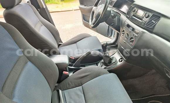 Buy Used Toyota Corolla Blue Car in Yaounde in Central Cameroon Buy Used Toyota Corolla Blue Car in Yaounde in Central Cameroon