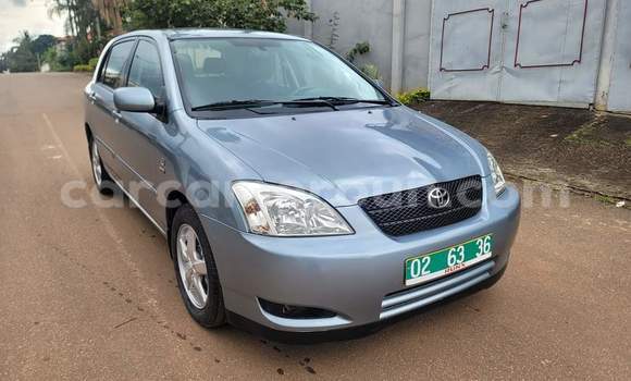 Buy Used Toyota Corolla Blue Car in Yaounde in Central Cameroon Buy Used Toyota Corolla Blue Car in Yaounde in Central Cameroon
