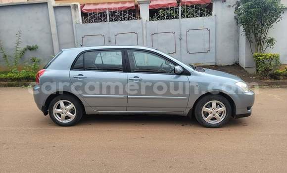 Buy Used Toyota Corolla Blue Car in Yaounde in Central Cameroon Buy Used Toyota Corolla Blue Car in Yaounde in Central Cameroon