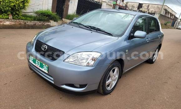 Buy Used Toyota Corolla Blue Car in Yaounde in Central Cameroon Buy Used Toyota Corolla Blue Car in Yaounde in Central Cameroon