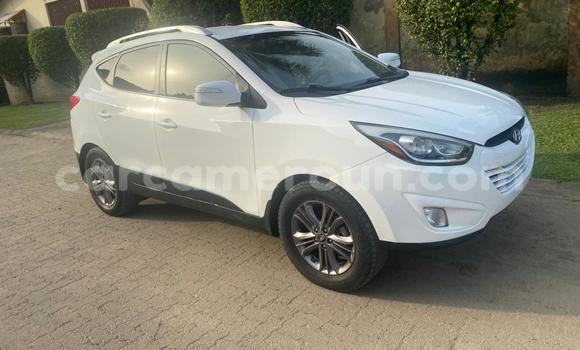 Acheter Import Voiture Hyundai Tucson Blanc à Douala, Littoral Cameroon