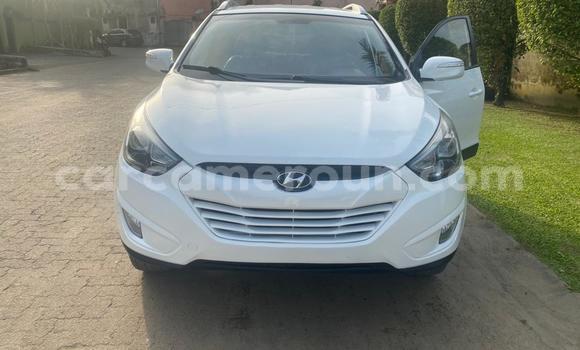 Acheter Import Voiture Hyundai Tucson Blanc à Douala, Littoral Cameroon Acheter Import Voiture Hyundai Tucson Blanc à Douala, Littoral Cameroon
