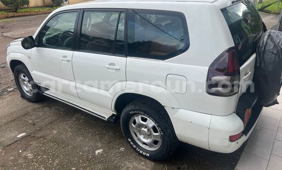 Acheter Occasion Voiture Toyota Prado Blanc à Douala, Littoral Cameroon Acheter Occasion Voiture Toyota Prado Blanc à Douala, Littoral Cameroon