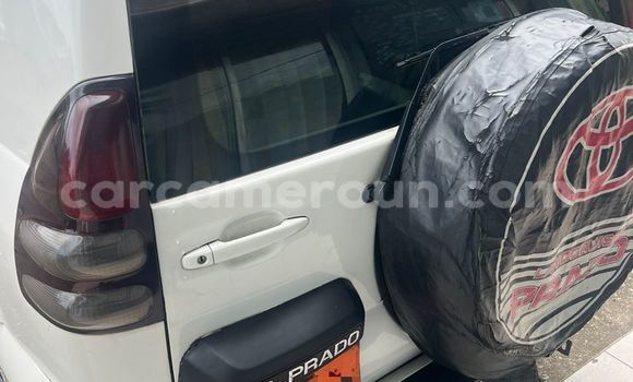 Acheter Occasion Voiture Toyota Prado Blanc à Douala, Littoral Cameroon Acheter Occasion Voiture Toyota Prado Blanc à Douala, Littoral Cameroon