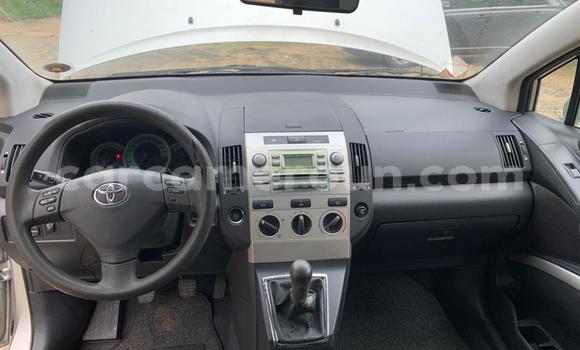 Buy Used Toyota Corolla Silver Car in Douala in Littoral Cameroon