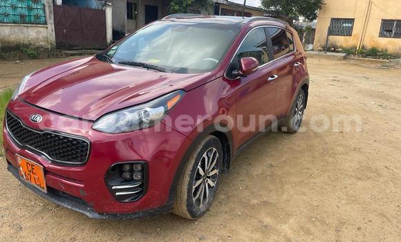 Acheter Occasion Voiture Kia Sportage Rouge à Douala, Littoral Cameroon