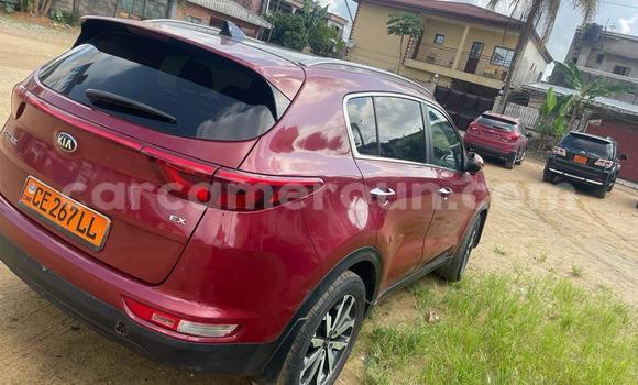 Sayi Na hannu Kia Sportage Red Mota in Douala a Ƙasar Kamaru Sayi Na hannu Kia Sportage Red Mota in Douala a Ƙasar Kamaru