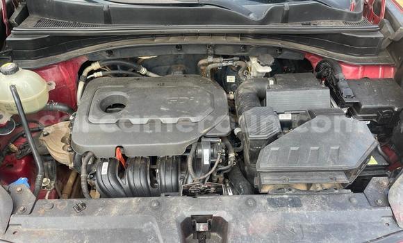 Sayi Na hannu Kia Sportage Red Mota in Douala a Ƙasar Kamaru Sayi Na hannu Kia Sportage Red Mota in Douala a Ƙasar Kamaru