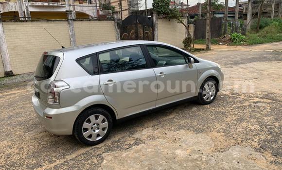 Buy Used Toyota Corolla Silver Car in Douala in Littoral Cameroon